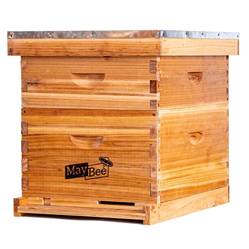 10 Frame Bee Hive Starter Kit with Supplies