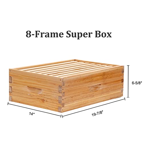 BeeCastle 8 Frame Langstroth Bee Hive with Beeswax