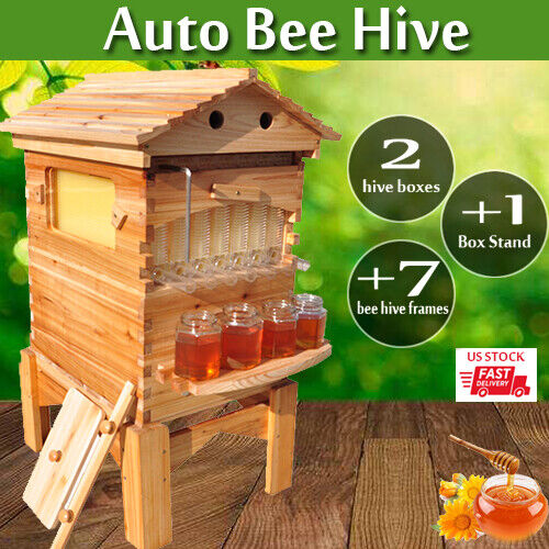 Fir Wood Auto Bee Hive Boxes with Frames