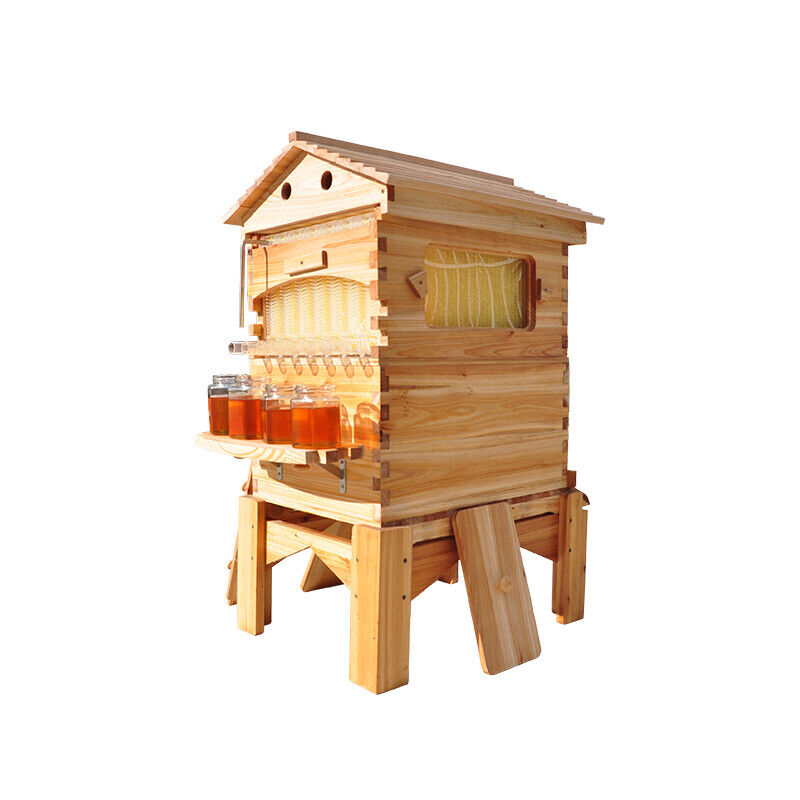 Fir Wood Auto Bee Hive Boxes with Frames