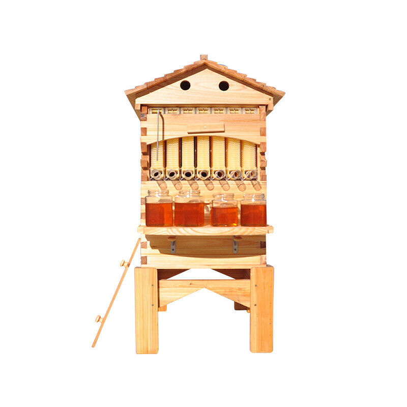 Fir Wood Auto Bee Hive Boxes with Frames