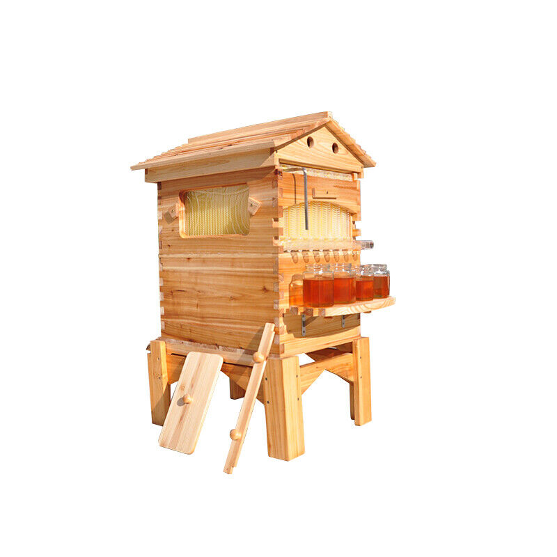 Fir Wood Auto Bee Hive Boxes with Frames