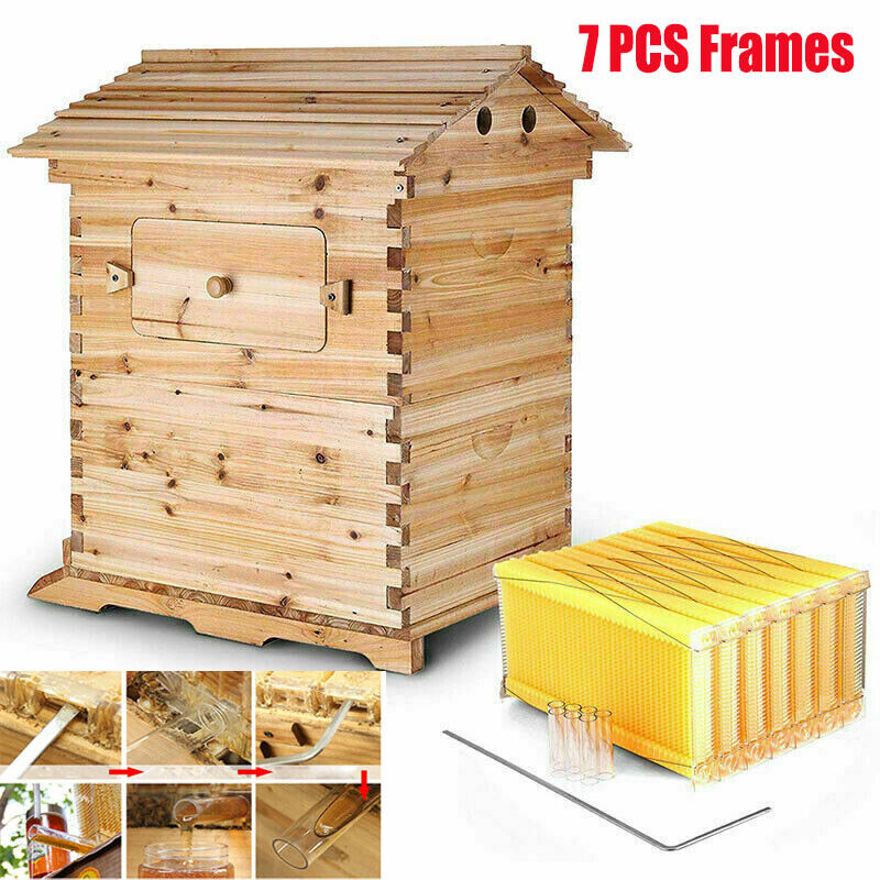 Auto Flowing Honey Bee Hive Frames & Box Set