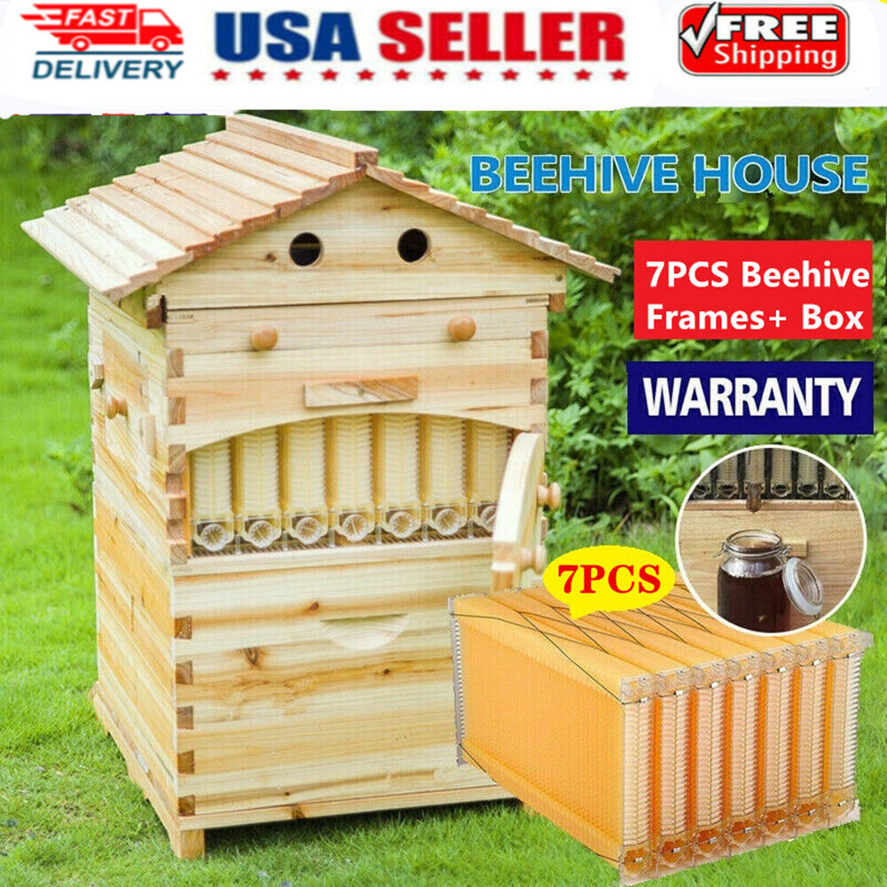 7-Piece Auto-Run Honey Bee Comb Frames Kit