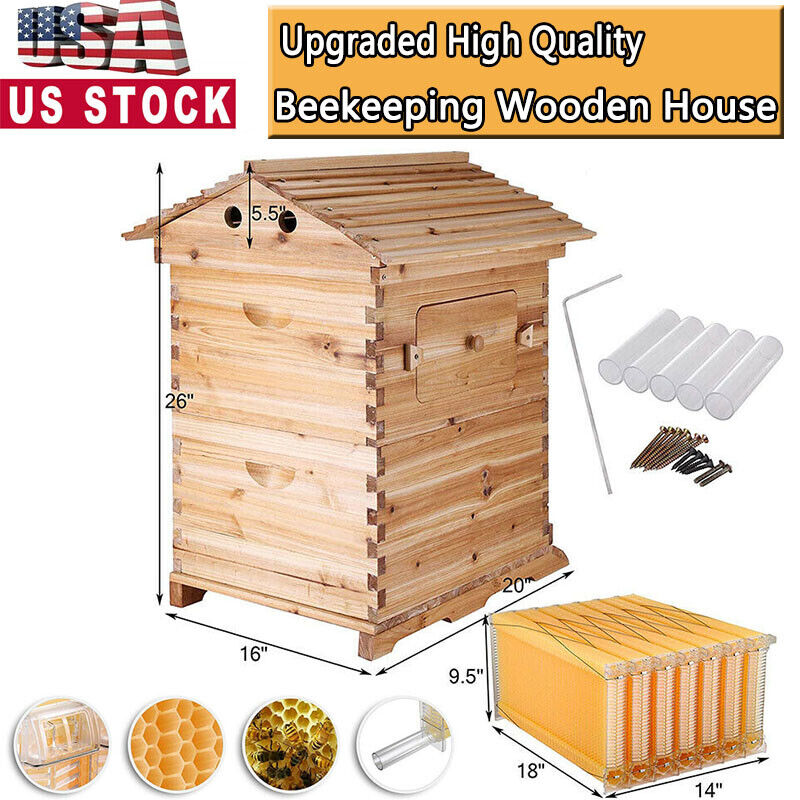 Auto Flowing Honey Bee Hive Frames & Box Set