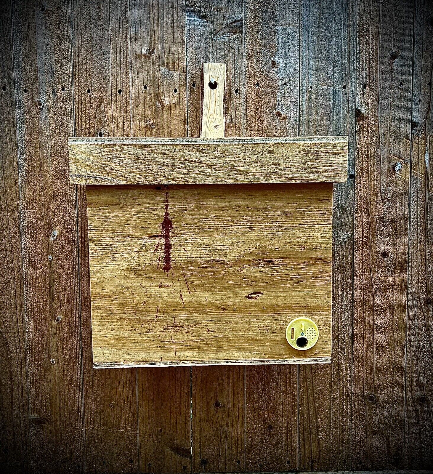 Beekeeping Honeybee Swarm Trap for Sale