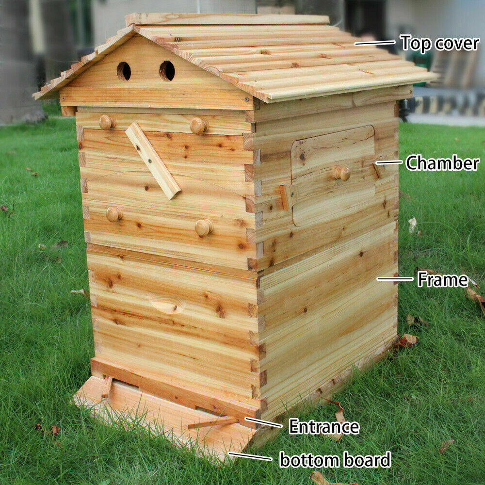 7-Piece Auto-Run Honey Bee Comb Frames Kit