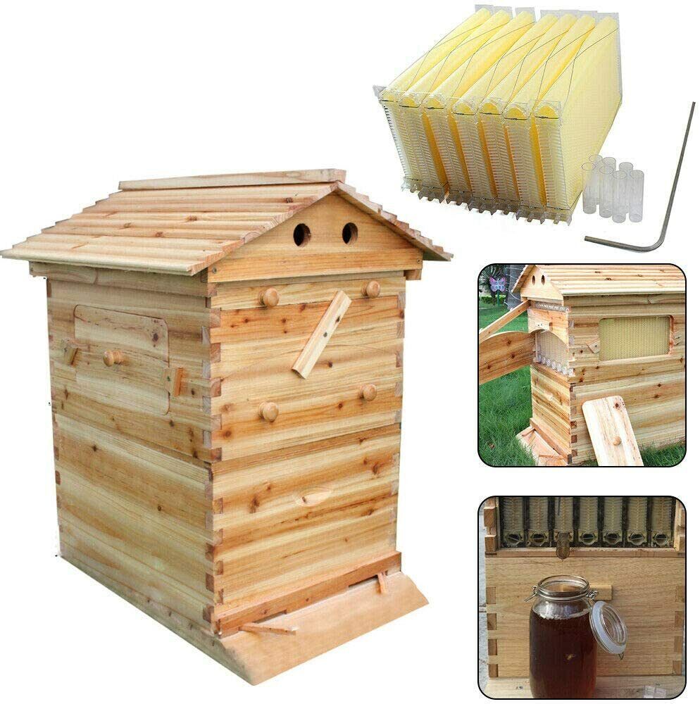 Auto Flowing Honey Bee Hive Frames & Box Set
