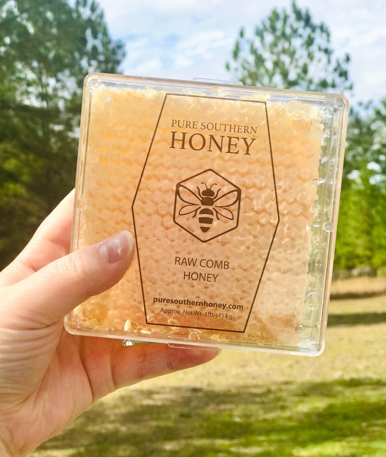 Fresh 4"x4" Raw Honeycomb from Pure Southern Honey