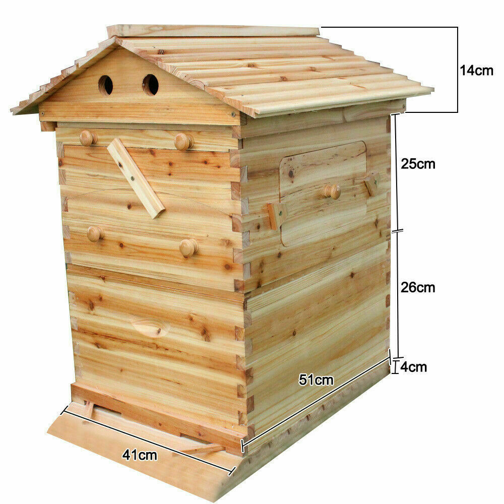 7-Piece Auto-Run Honey Bee Comb Frames Kit