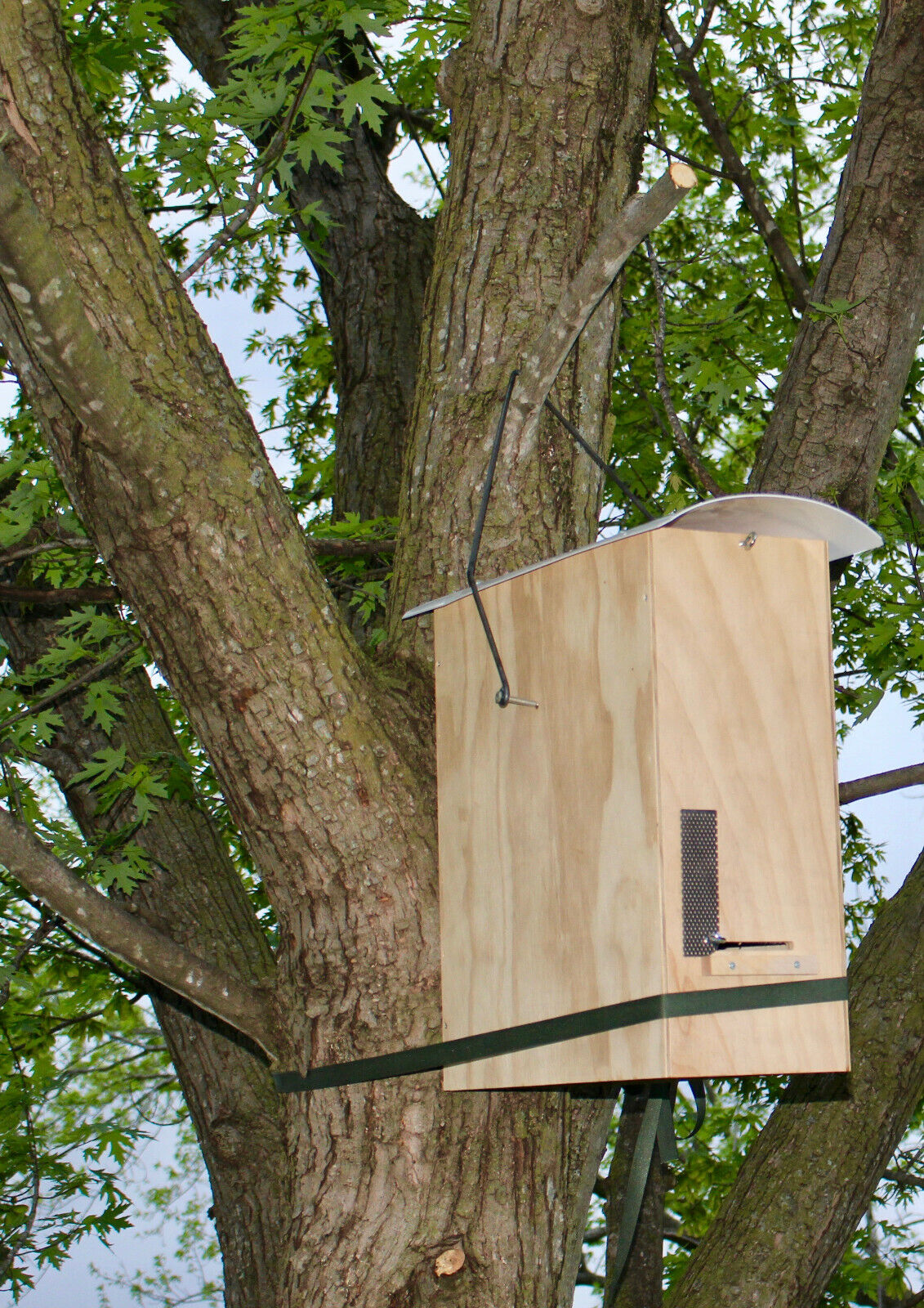 Bee Hive with Honeybee Swarm Trap