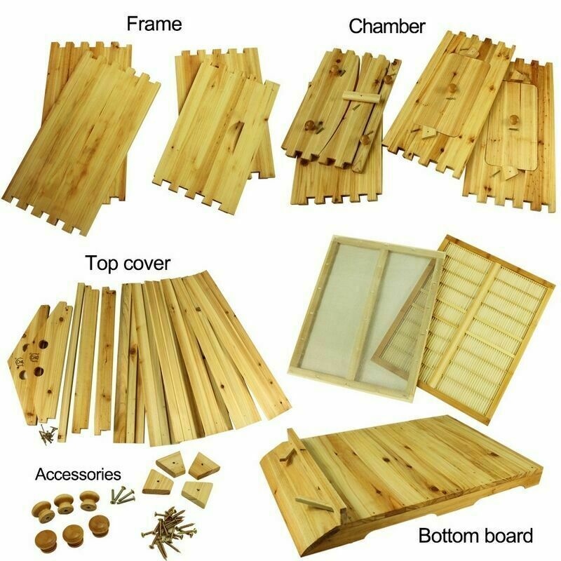 7-Piece Auto-Run Honey Bee Comb Frames Kit
