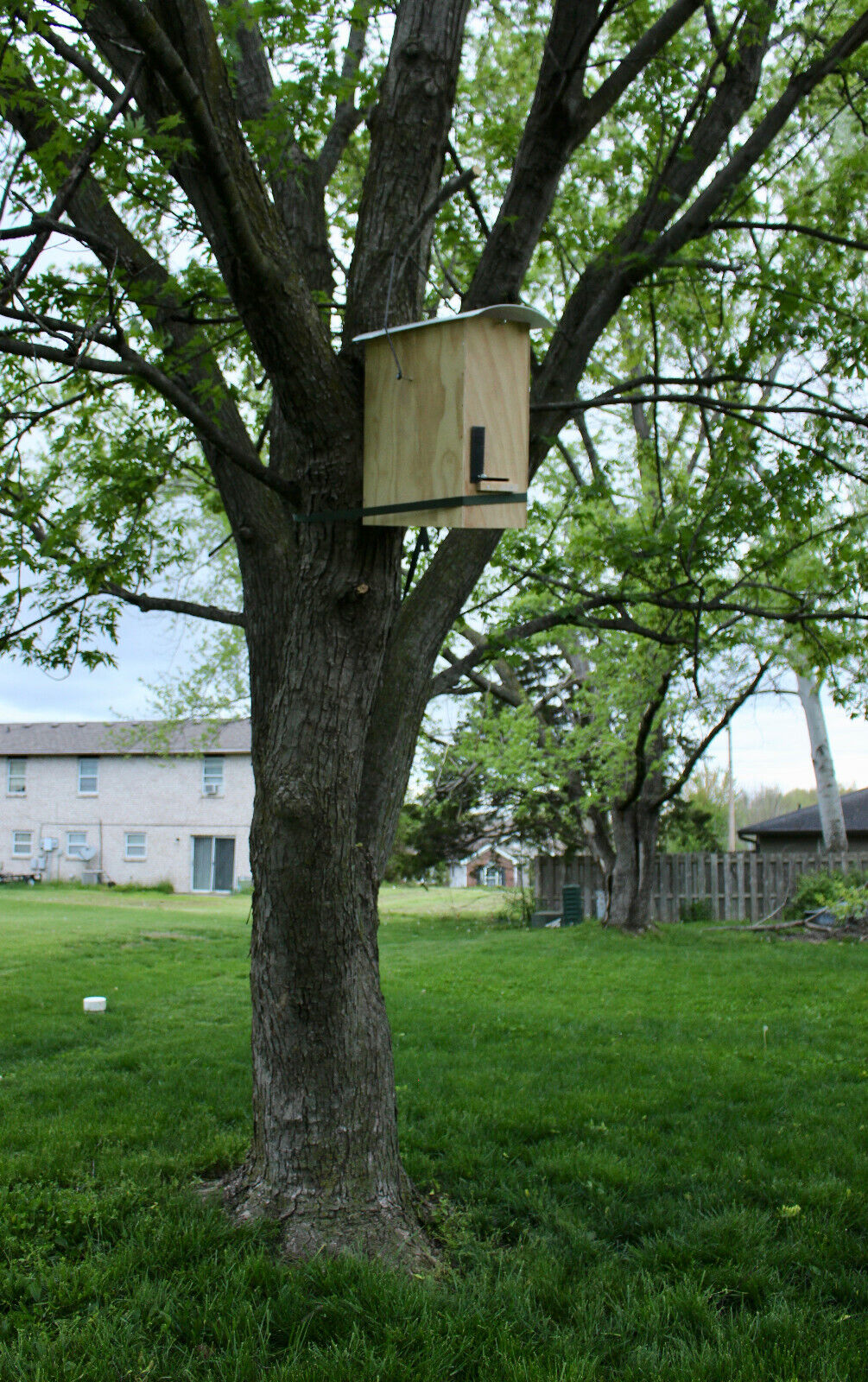 Bee Hive with Honeybee Swarm Trap