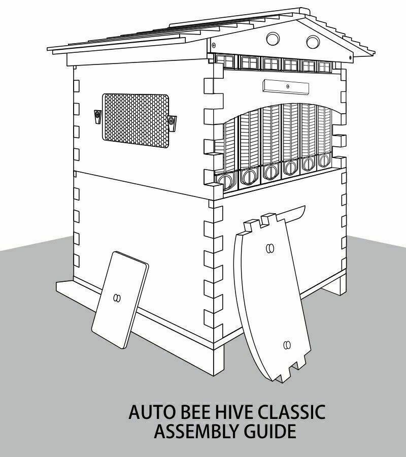 7-Piece Auto-Run Honey Bee Comb Frames Kit