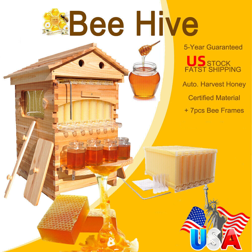 Complete Beehive Frames Set with Beehive House Box