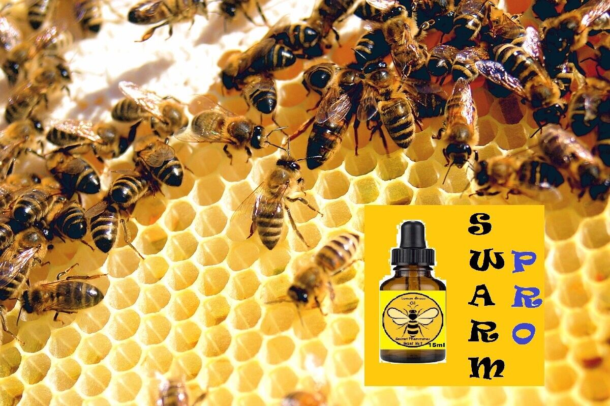 Honeybee Swarm Lure - 15 ML Pheromone Bee Scent