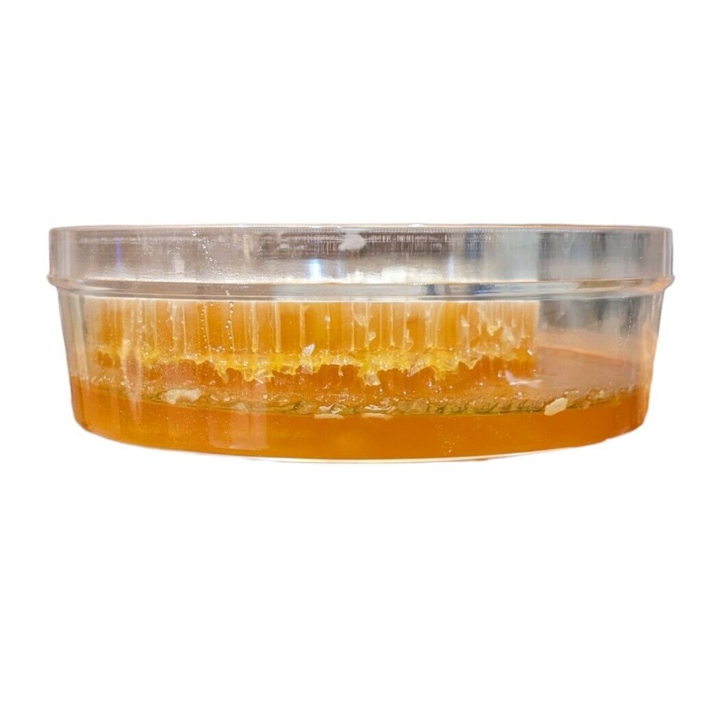 500g Pure Unfiltered Honeycomb - Delicious Beekeeping Nectar