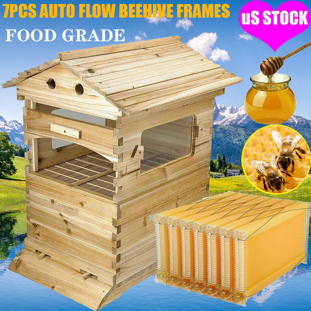 7 Honey Beehive Frames + Wooden Beekeeping Box Set