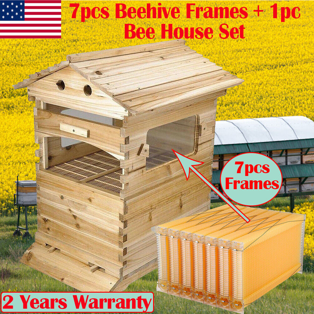 Upgraded Beehive with 7 Free Flowing Hive Frames
