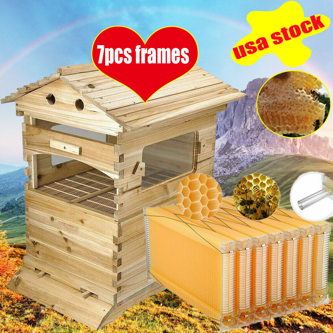 7 Honey Beehive Frames + Wooden Beekeeping Box Set