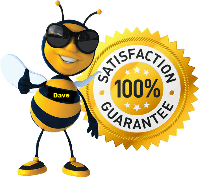 Honeybee Swarm Lure - 15 ML Pheromone Bee Scent