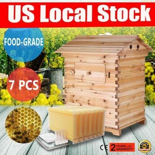 7 Honey Beehive Frames + Wooden Beekeeping Box Set