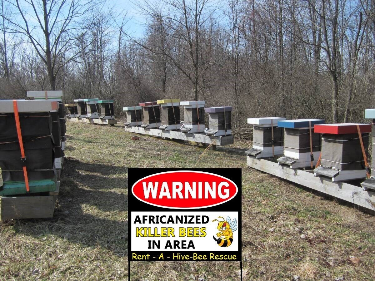 Honeybee Swarm Lure - 15 ML Pheromone Bee Scent