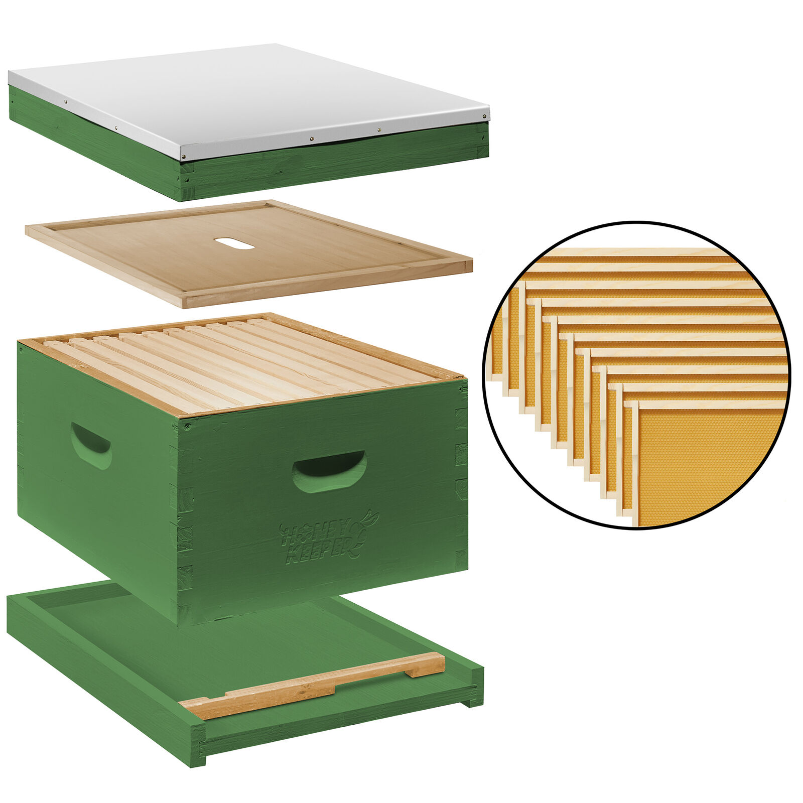 Painted Beehive Starter Set with 10 Frames, Green
