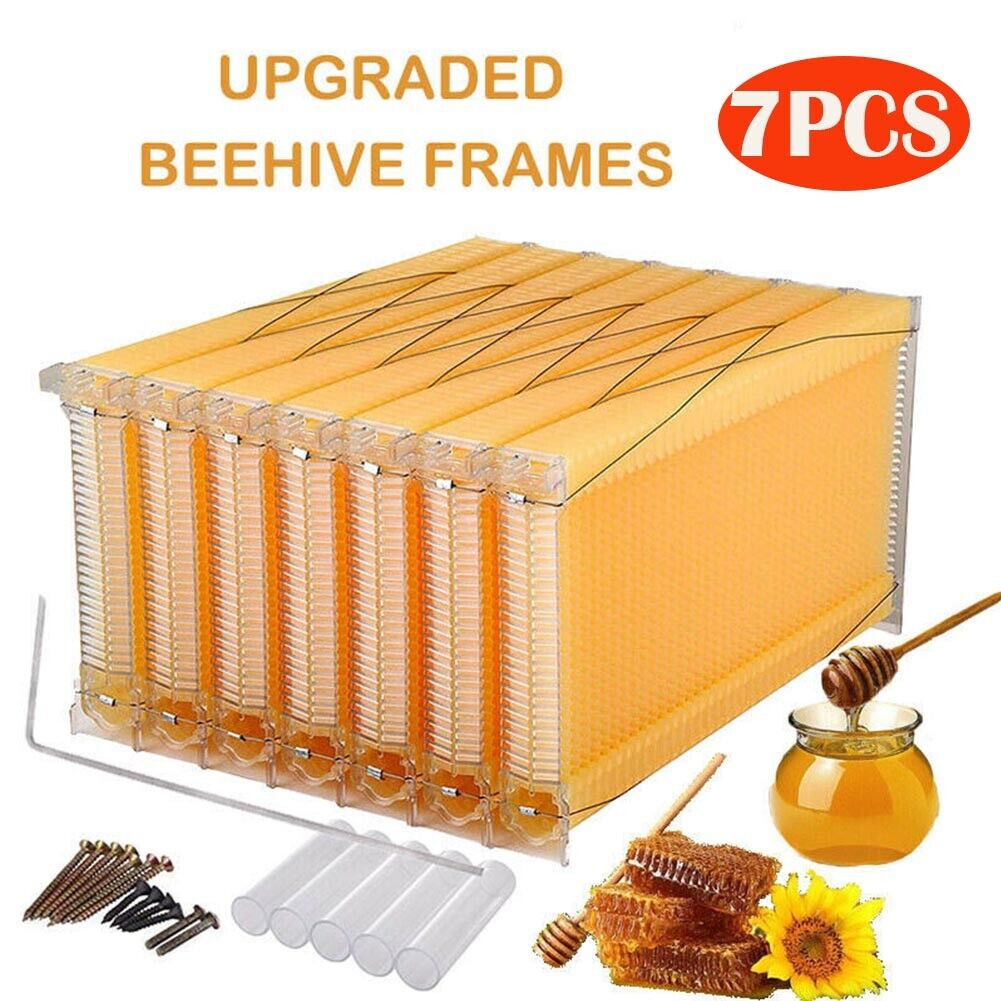 Upgraded Beehive with 7 Free Flowing Hive Frames