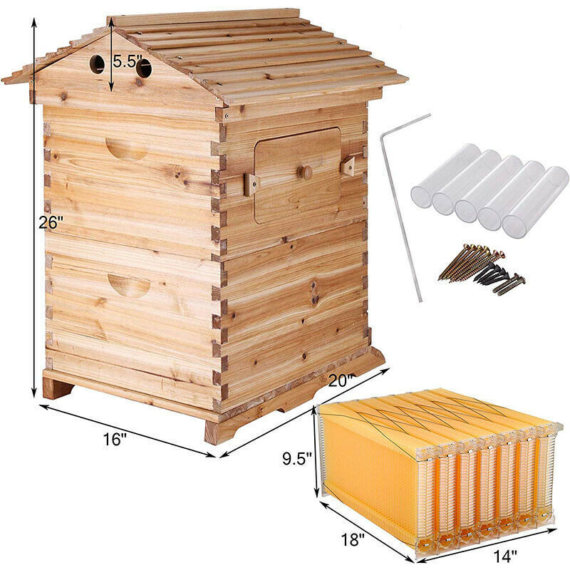Complete Beehive Frames Set with Beehive House Box