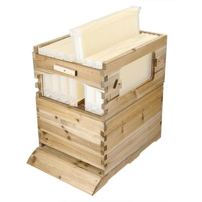 Complete Beehive Frames Set with Beehive House Box
