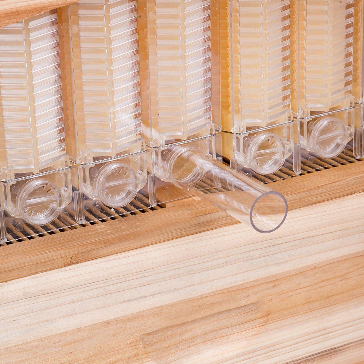 Complete Beehive Set with 7 Auto Flowing Frames