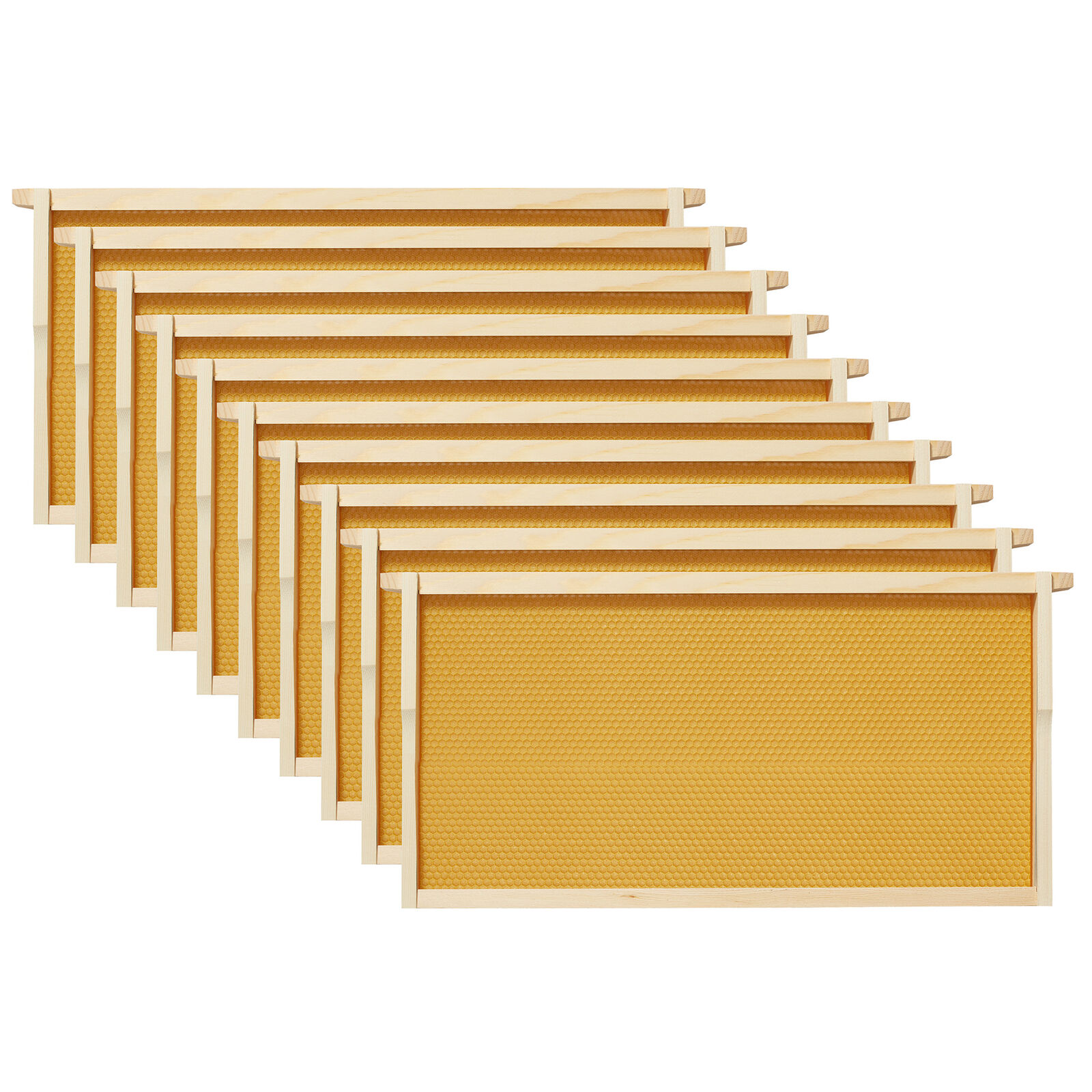 Painted Beehive Starter Set with 10 Frames, Green