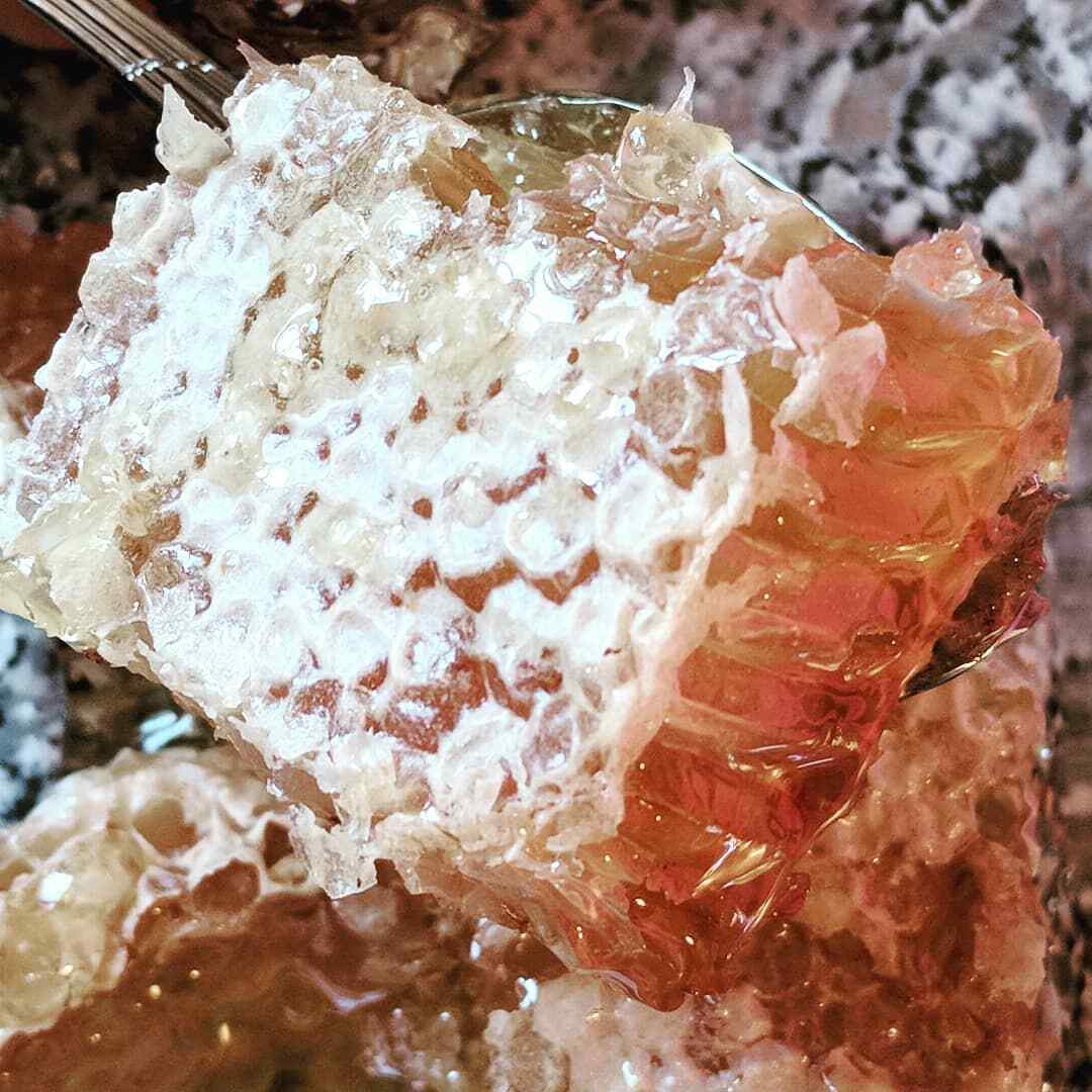 USA Raw Gallberry Honeycomb 12oz - 100% Pure