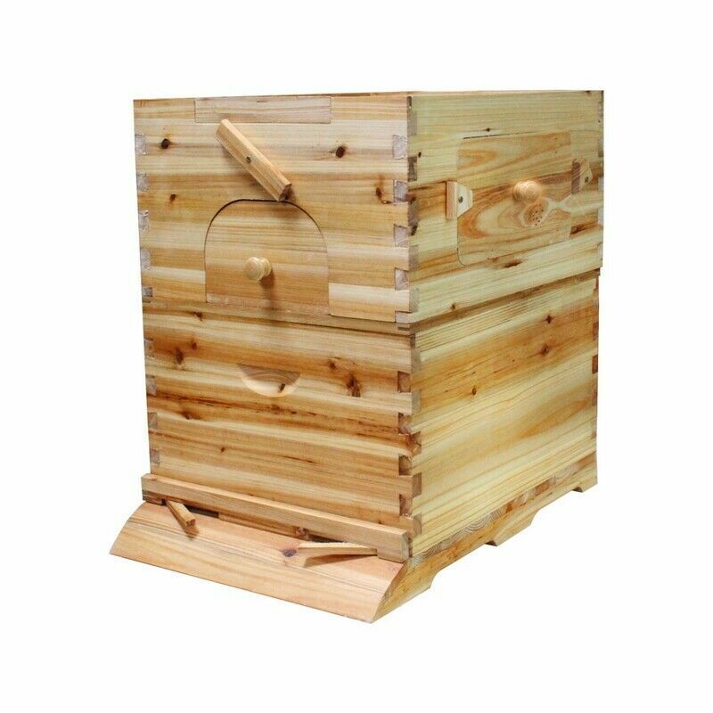 7 Honey Beehive Frames + Wooden Beekeeping Box Set