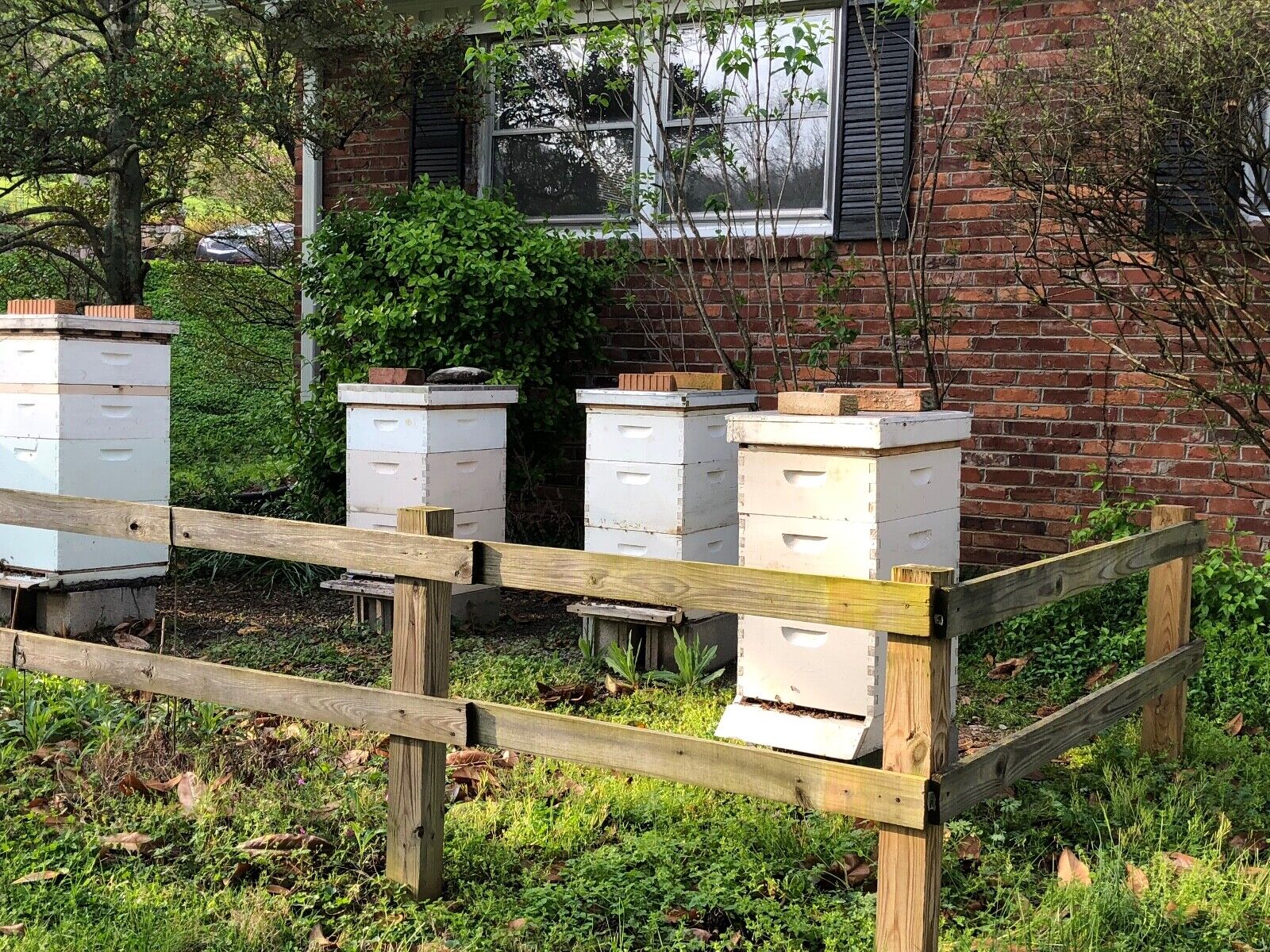 Tennessee Wildflower Comb Honey, 100% Pure Raw, 11 oz