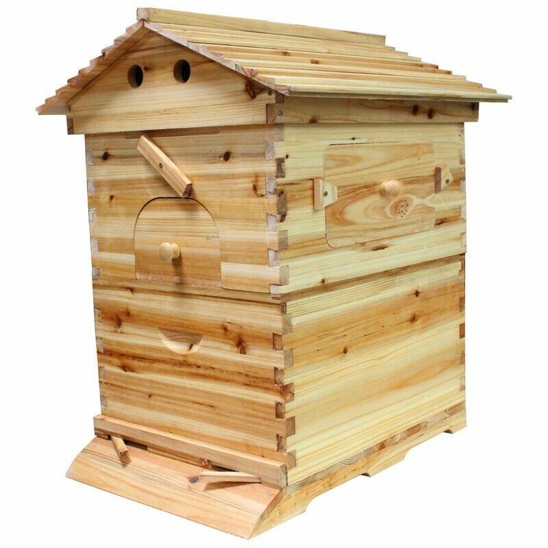 7 Honey Beehive Frames + Wooden Beekeeping Box Set