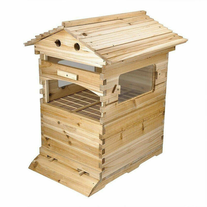 Upgraded Beehive with 7 Free Flowing Hive Frames