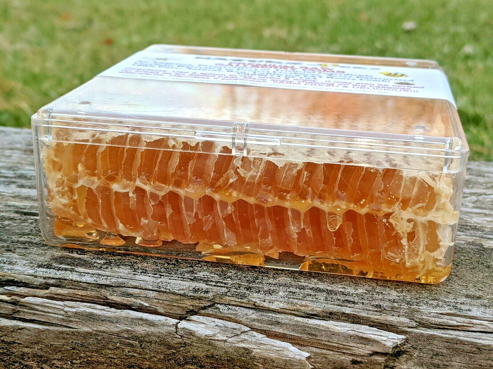 USA Raw Gallberry Honeycomb 12oz - 100% Pure