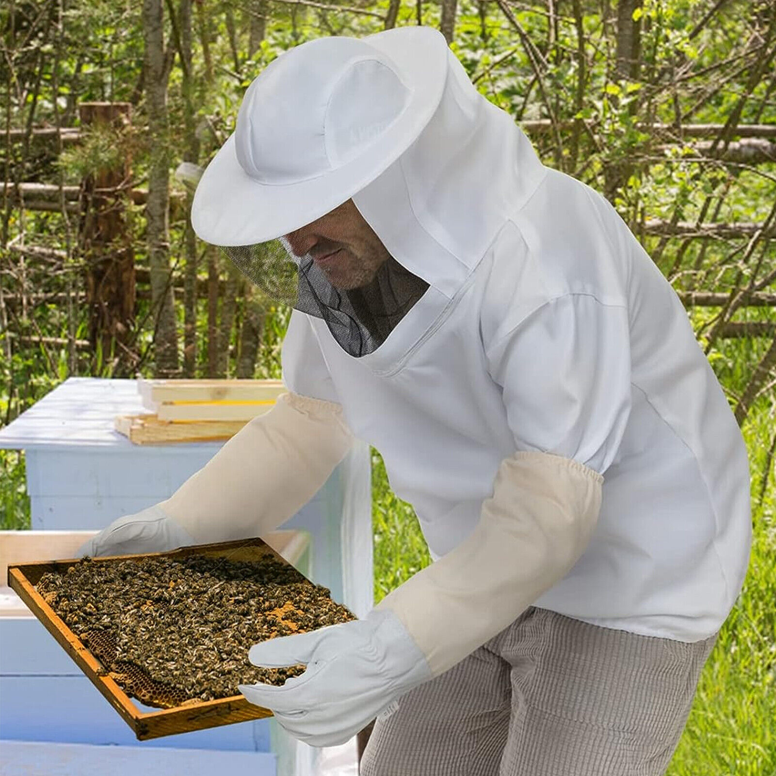 Beekeeping Protective Suit with Veil and Gloves
