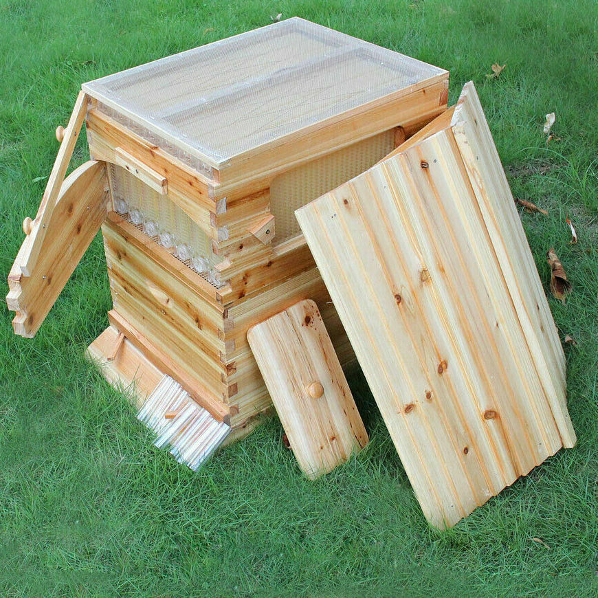 Upgraded Beehive with 7 Free Flowing Hive Frames