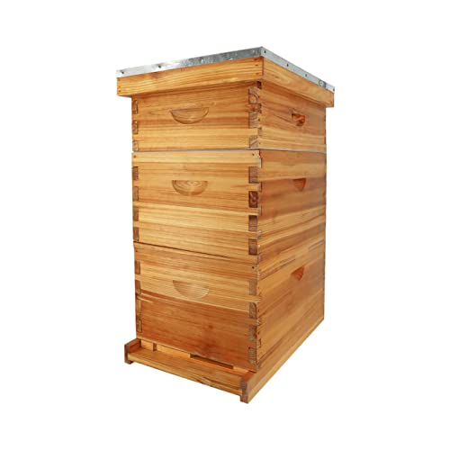 ThxBees Complete 10-Frame Bee Hive Kit, Beeswax-Coated