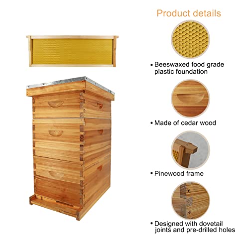 ThxBees Complete 10-Frame Bee Hive Kit, Beeswax-Coated