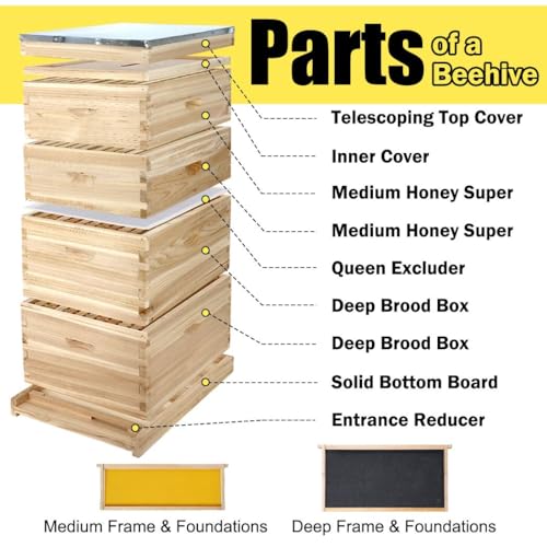 BeeCastle Complete Bee Hive Starter Kit (10-Frame)