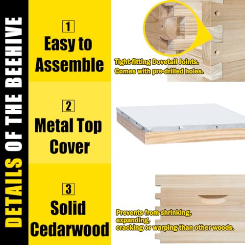 BeeCastle Complete Bee Hive Starter Kit (10-Frame)