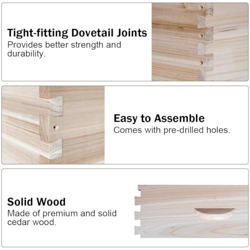 BeeCastle Complete Bee Hive Starter Kit (10-Frame)