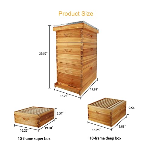 ThxBees Complete 10-Frame Bee Hive Kit, Beeswax-Coated