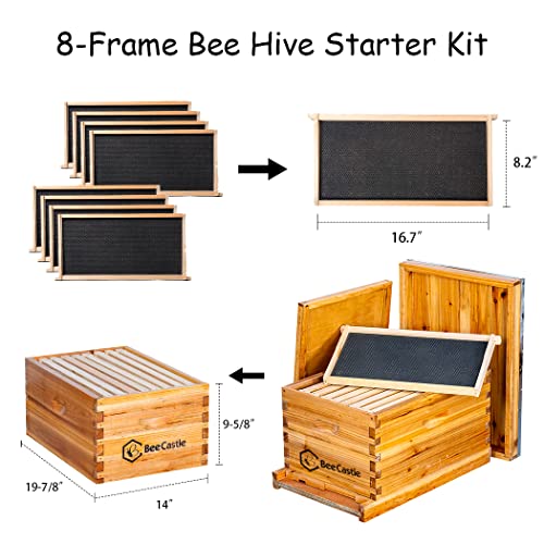 Beginner Beehive Kit with 8-Frame Hives and Supplies