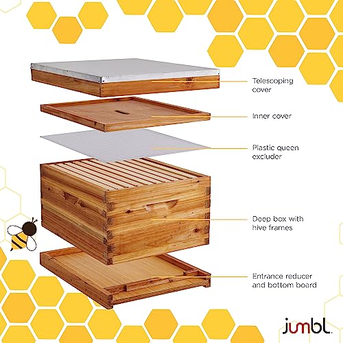 30-Piece Beekeeping Starter Set with Beeswax Coated Beehive