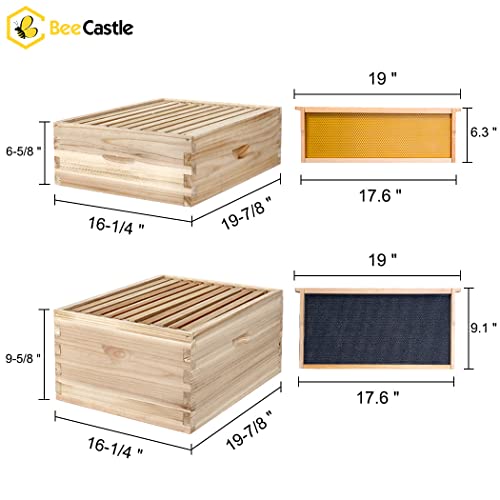BeeCastle Complete Bee Hive Starter Kit (10-Frame)